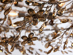Fiore Crown Chandelier