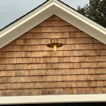 Utivence Outdoor Wall Sconce
